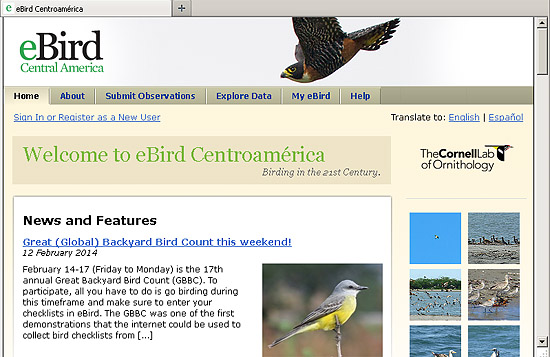 Screenshot eBird Guatemala