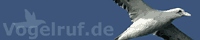 http://www.vogelruf.de