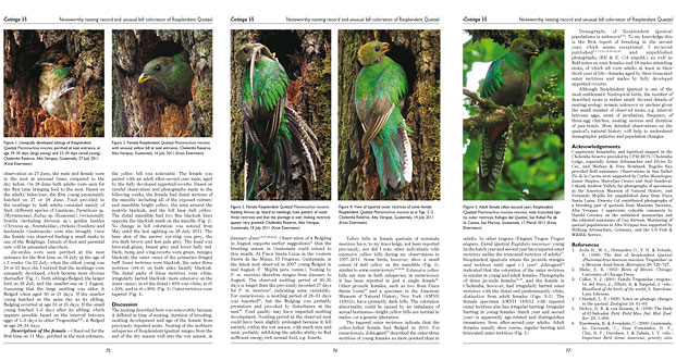 Natural history of Resplendent Quetzal