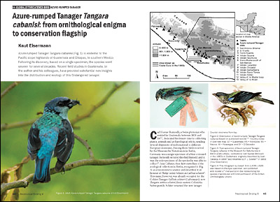 Cabanistanagere im Journal Neotropical Birding