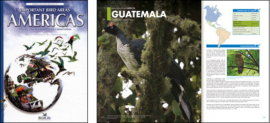 Important Bird Areas Guatemala