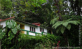 Unterkunft in Ranchitos del Quetzal