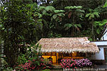 Restaurant in Ranchitos del Quetzal