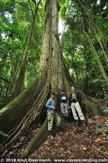 Los Andes Reserve