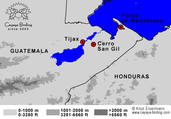 Guatemala Birding Hotspots