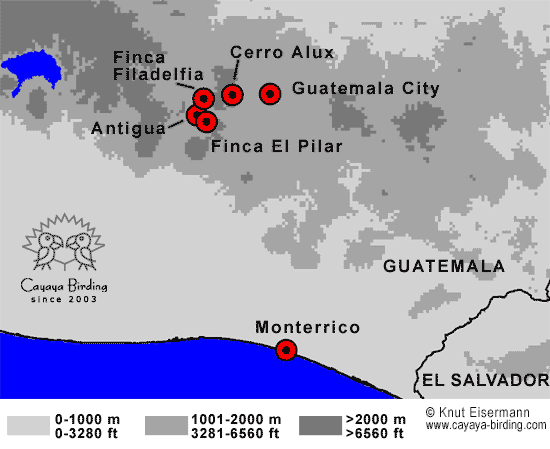 Guatemala Birding Hotspots