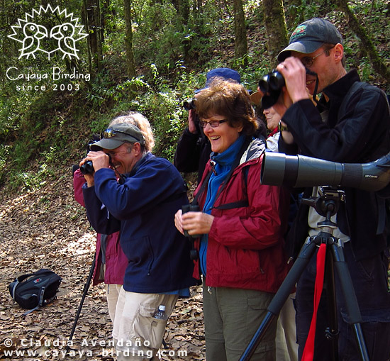 Cayaya Birding Reisegruppe