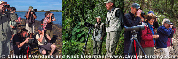 Tour groups watching birds in Guatemala