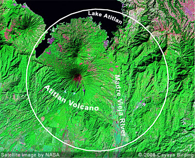 Christmas Bird Count Atitlán Volcano