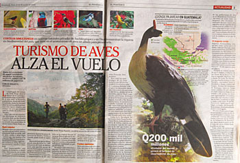 article in elPeriodico, 31 Dec 2007