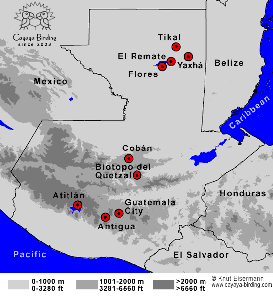 Guatemala Birding Hotspots