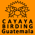 (c) Cayaya-birding.de