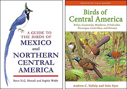Howell and Webb (1995) Birds of Mexico and northern Central America, Valley and Dyer (2018) Birds of Central America: Belize, Guatemala, Honduras, El Salvador, Nicaragua, Costa Rica, and Panama.