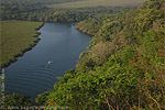 Wald im Nationalpark Laguna del Tigre