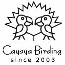 Logo Cayaya Birding