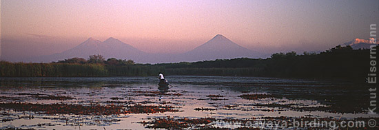 Sonnenaufgang in Monterrico