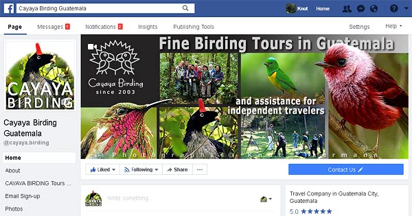 Cayaya Birding on facebook