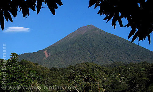 Vulkan Atitlán, CAYAYA BIRDING Tour Endemiten des Hochlandes von Guatemala