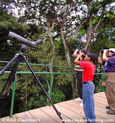 Beobachtungsturm der Finca Patrocinio