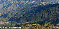 Wald des La Carmona Berges