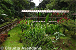 Kolibri-Futterstellen in Finca El Pilar