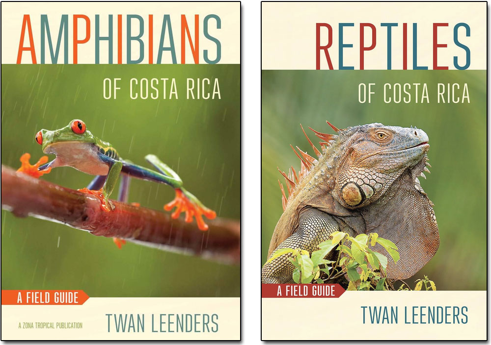 Leenders, reptiles and amphibians