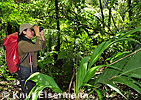 Vogelbeobachtung im Nebelwald von Sanimtacá