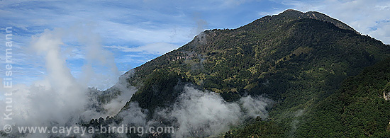 Vulkan Tacaná