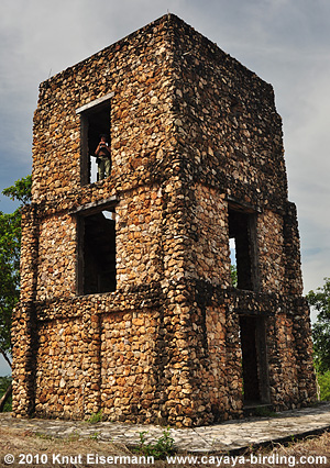 Tijax tower