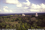 Wlad im Nationalpark Tikal