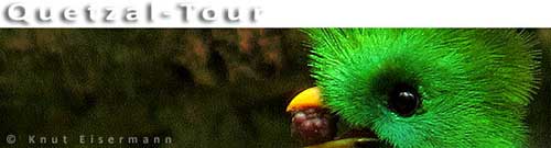 Quetzal Tour