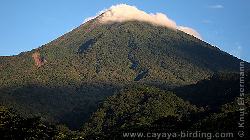 Vulkan Atitlán, CAYAYA BIRDING entspannte Vulkan - Mangroven - Tour in Guatemala