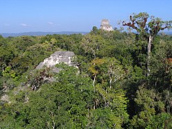 Tikal